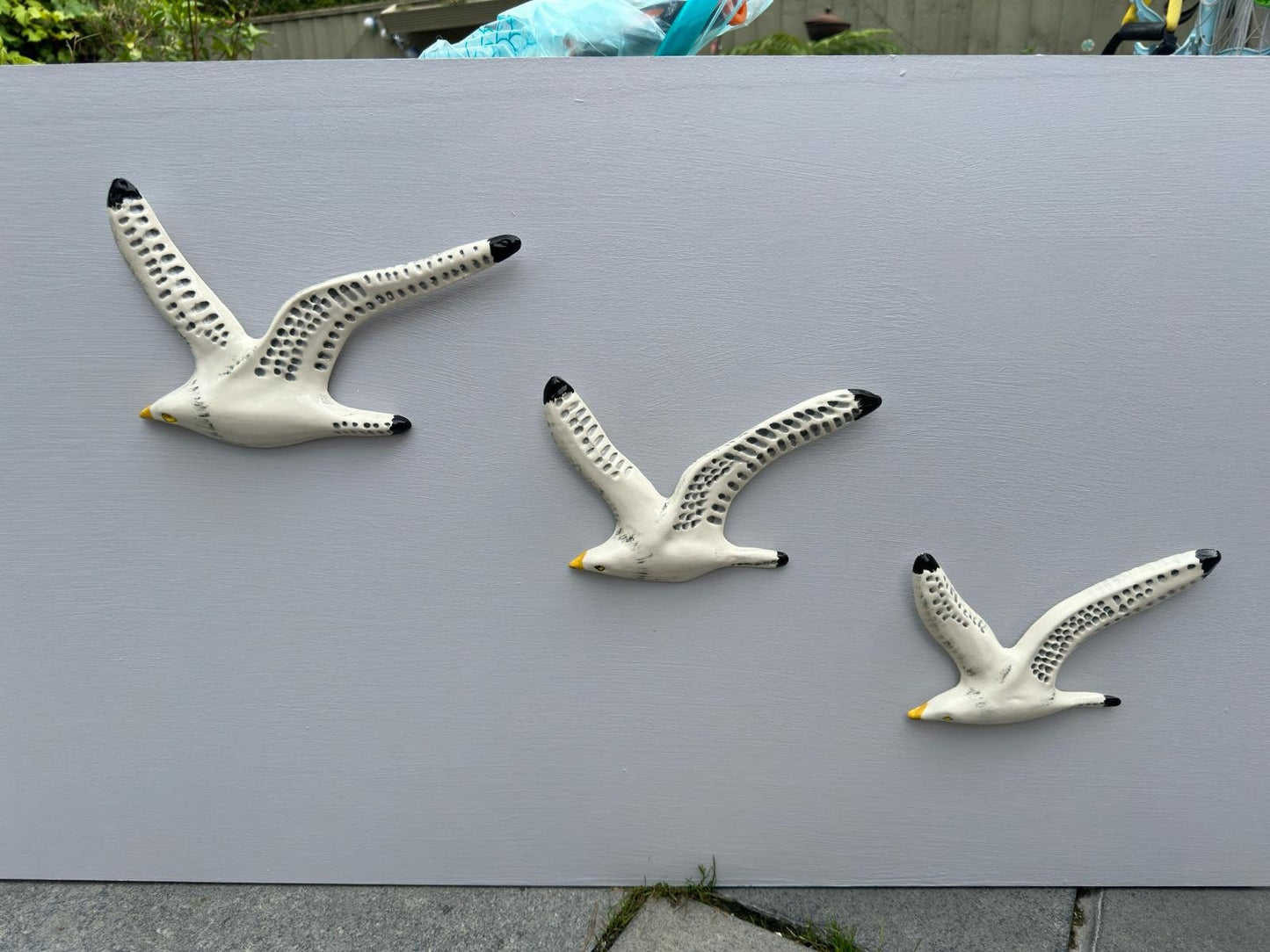 A Trio of Flying Seagulls