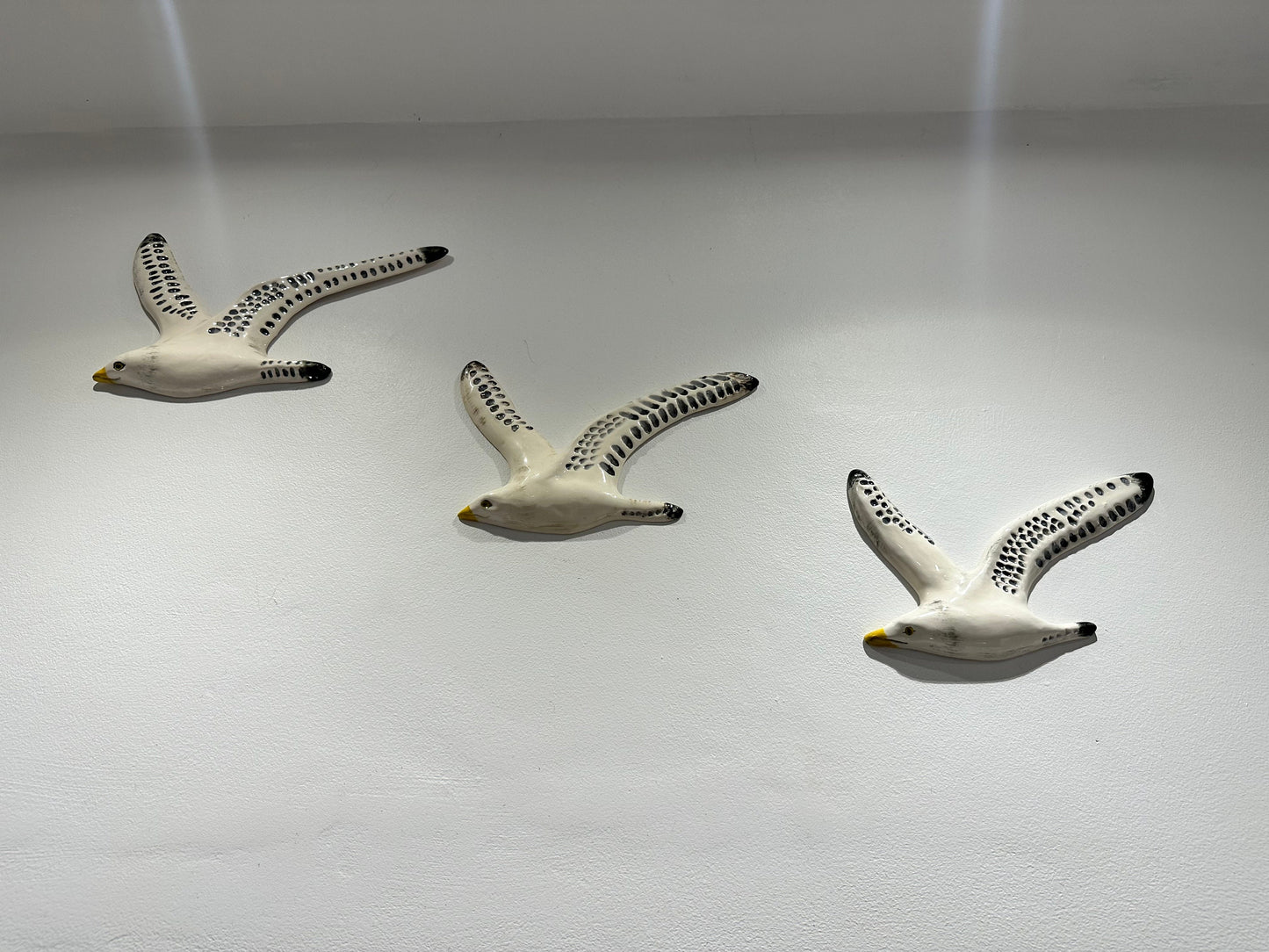 A Trio of Flying Seagulls