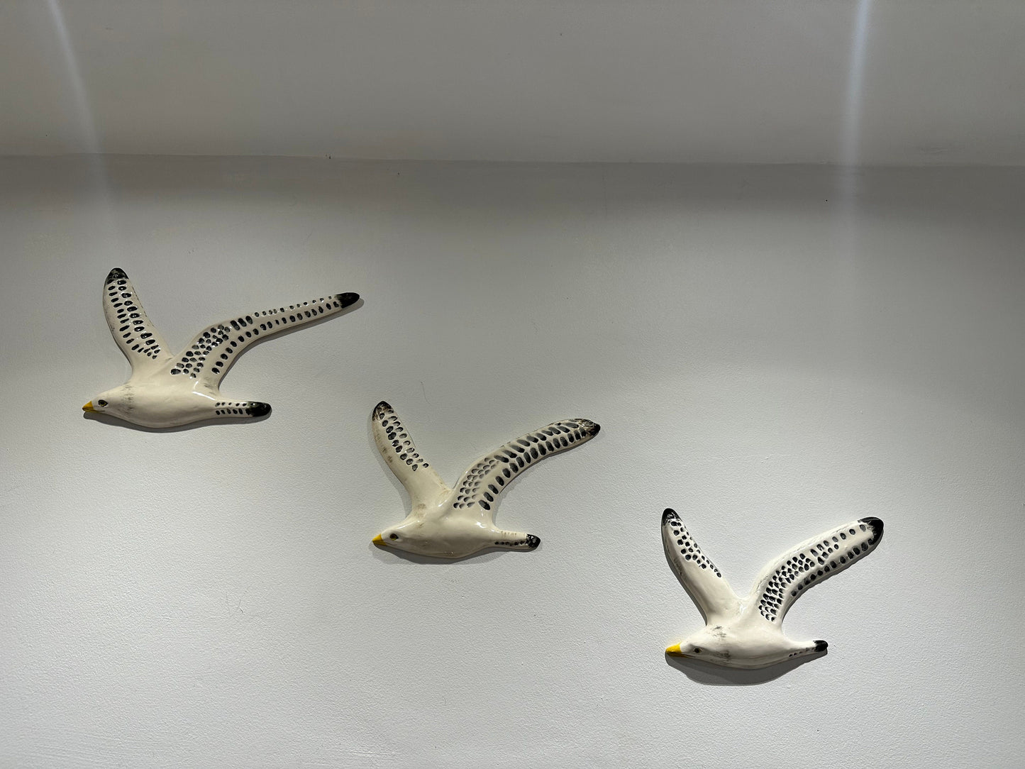 A Trio of Flying Seagulls