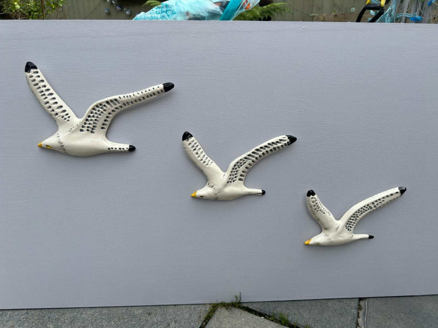 A Trio of Flying Seagulls