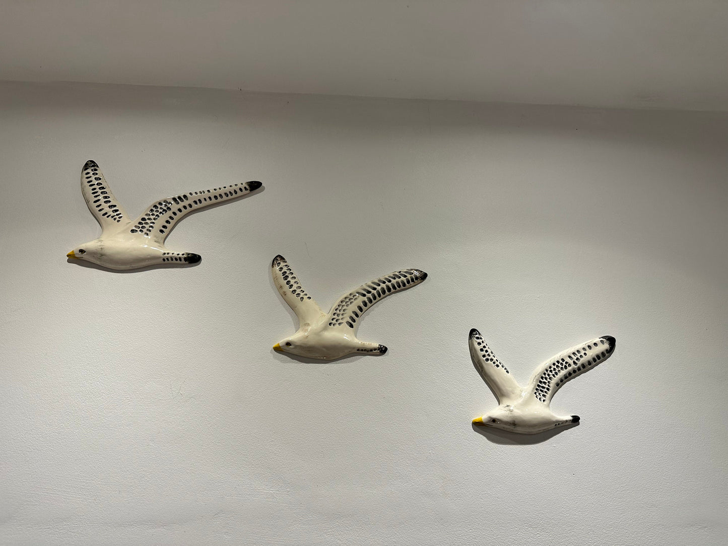 A Trio of Flying Seagulls