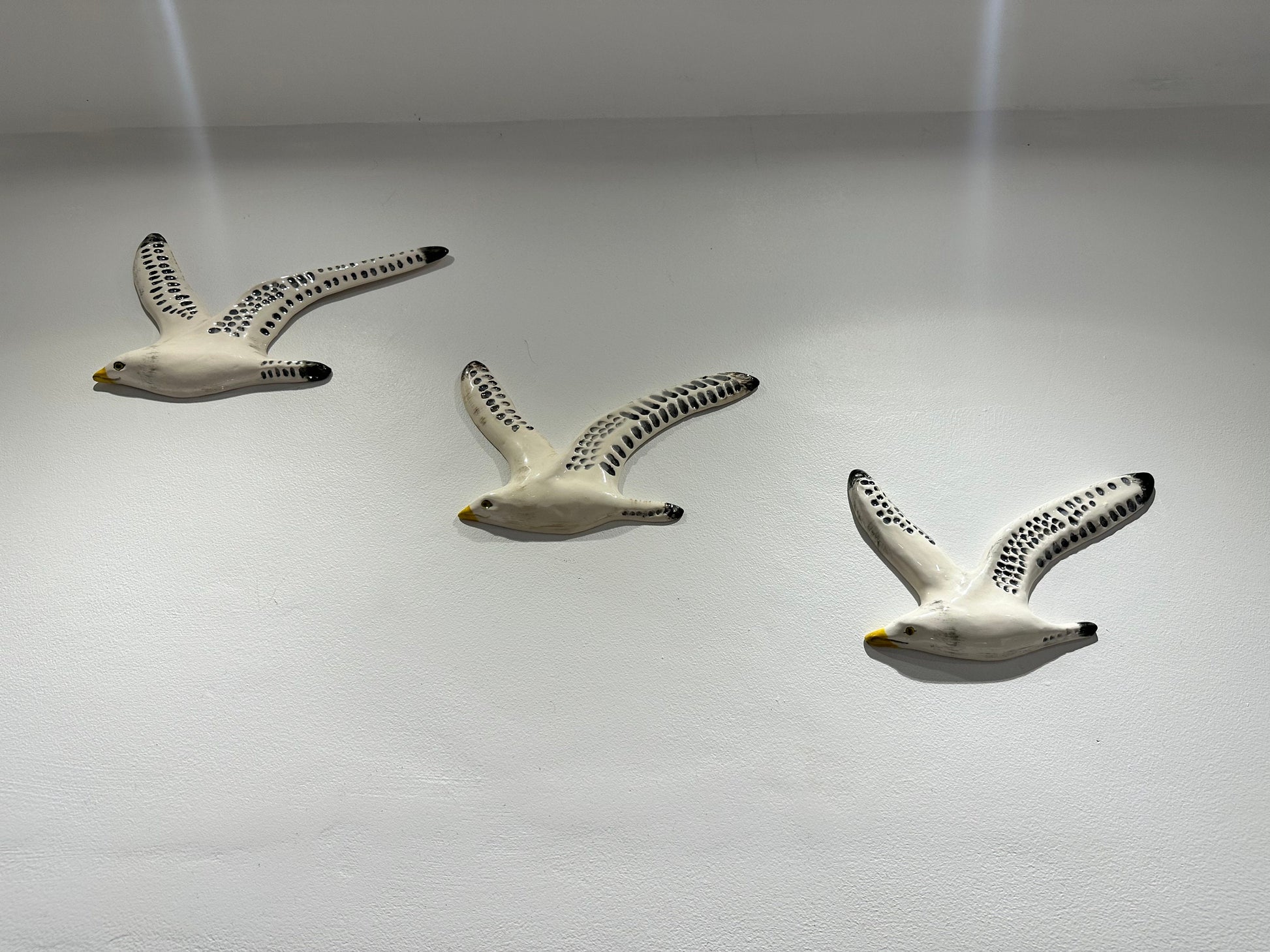 A Trio of Flying Seagulls