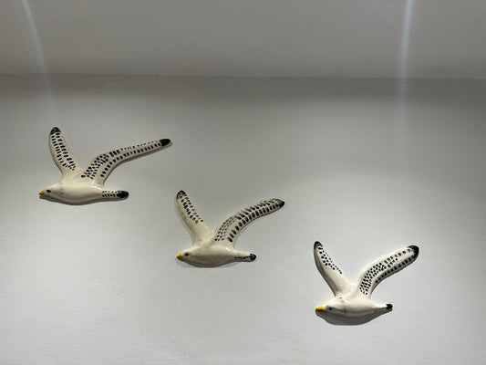 A Trio of Flying Seagulls
